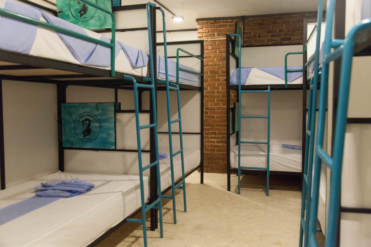 Bunky Monkey Hostels Коломбо Екстериор снимка